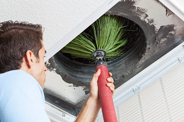 Best Air Duct Mold Removal  in Madeira Beach, FL